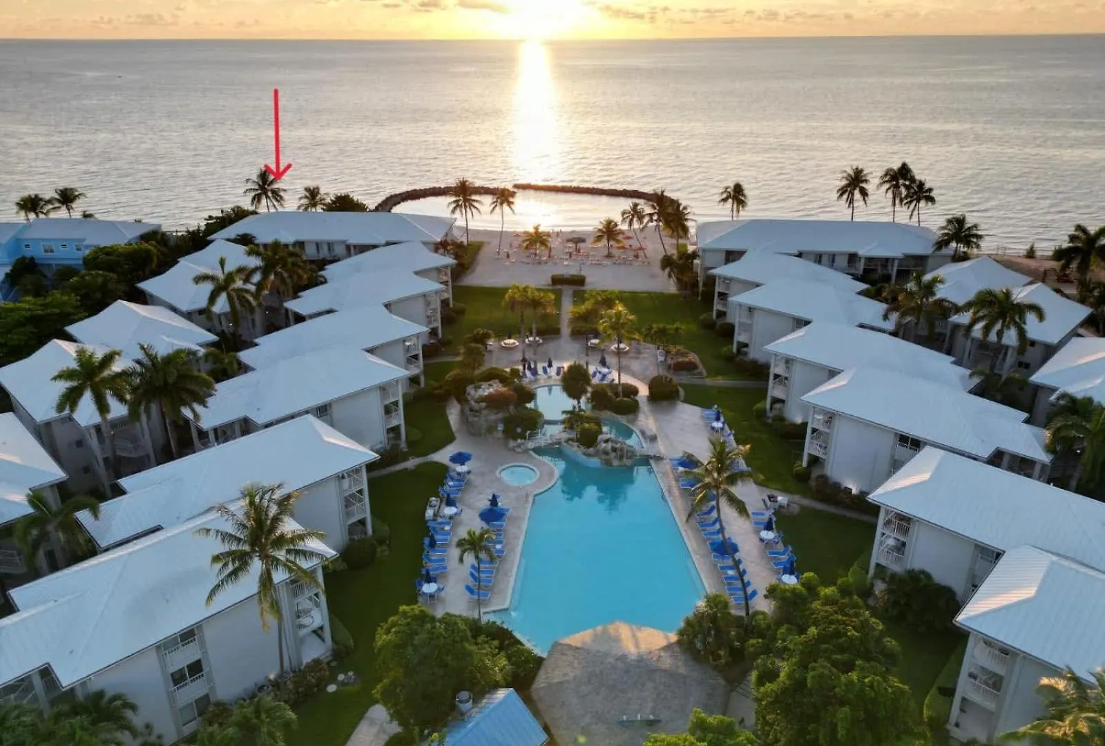Oceanfront 3-Br Condo With Large Beachfront Terrace Dog City